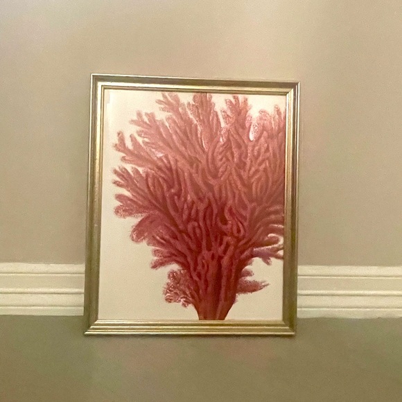 Red Coral Prints from Ballard Designs - Picture 2 of 3